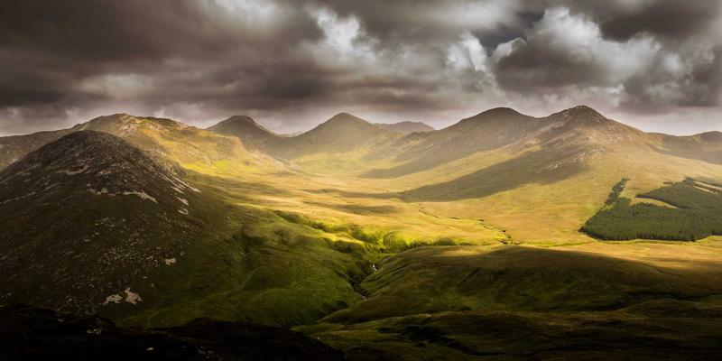 橡木、胡桃木、枫木地板硬度大比拼:谁更耐磨?SPC地板与地面工程维修全解析